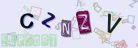 This is a captcha-picture. It is used to prevent mass-access by robots. (see: www.captcha.net)