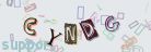 This is a captcha-picture. It is used to prevent mass-access by robots. (see: www.captcha.net)